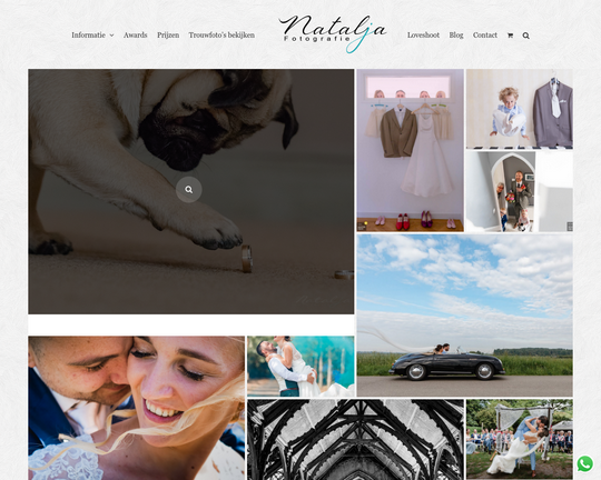 Bruidsfotografe.com Logo