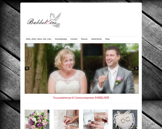 Trouwambtenaar Babbelaere Logo